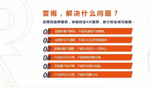 雷雨微品牌策划 以精准定位为灵魂，撬动网络营销新篇章
